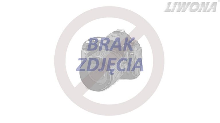 Dr Prawko odpowiada: Jaki może być objaw pęknięcia przewodu hamulcowego…