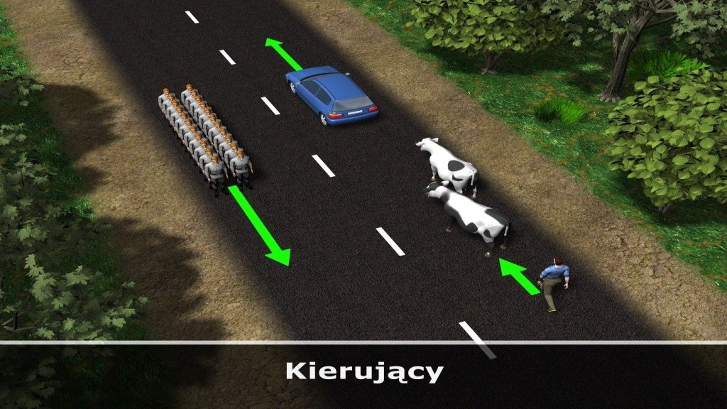 Kierujący