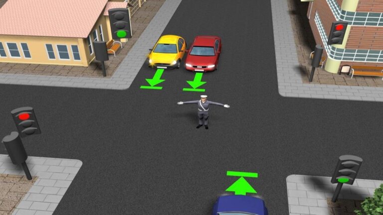 Ruch kierowany – definicja